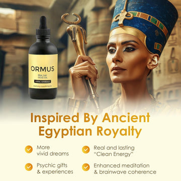 Golden Oil Supplement 4oz – Memory, Focus & Dream Support